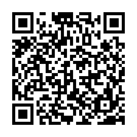 QR code for JFK336