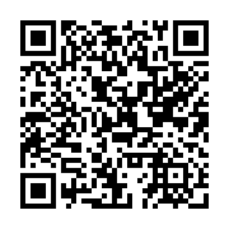 QR code for plate JFX 311