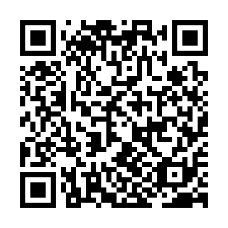 QR code for JIG311