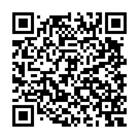 QR code for plate JIN 455
