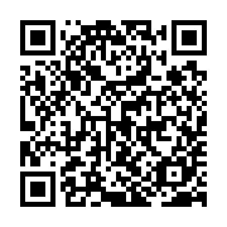 QR code for JIS 785