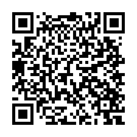 QR code for plate JJZ 747