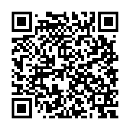 QR code for JLN 161