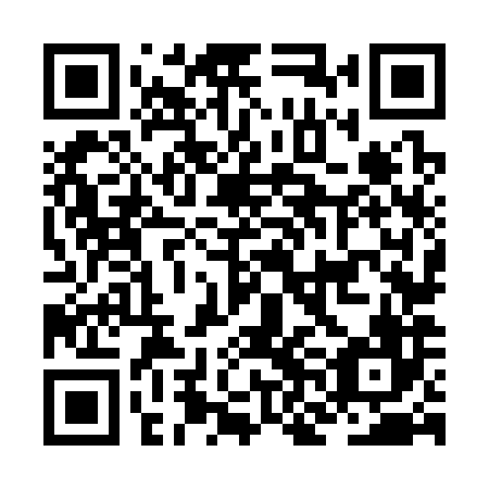 QR code for JNN 386