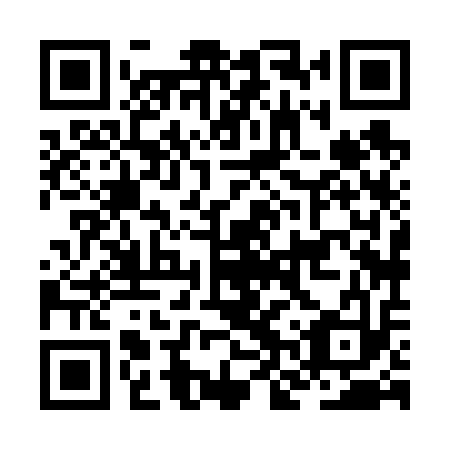 QR code for plate JNX 613