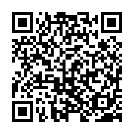 QR code for plate JNZ 111