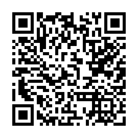 QR code for JOD 333