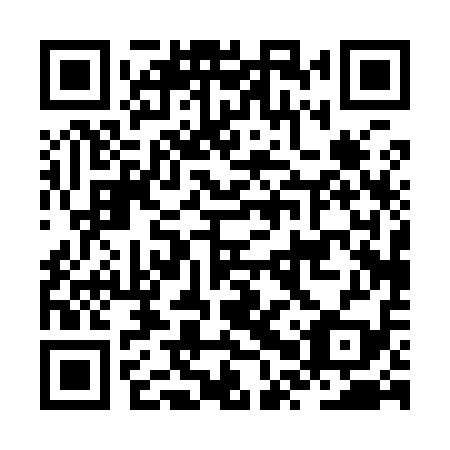 QR code for JPP 919