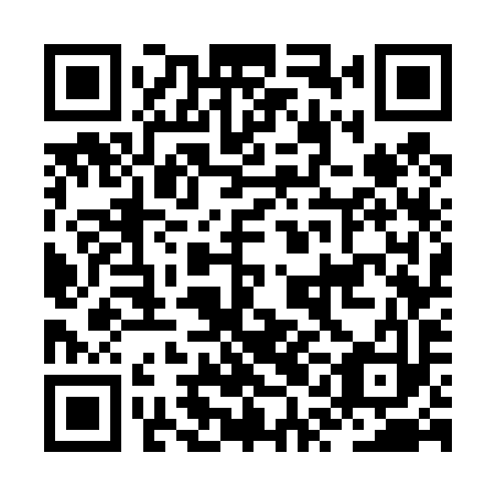 QR code for JQG 493