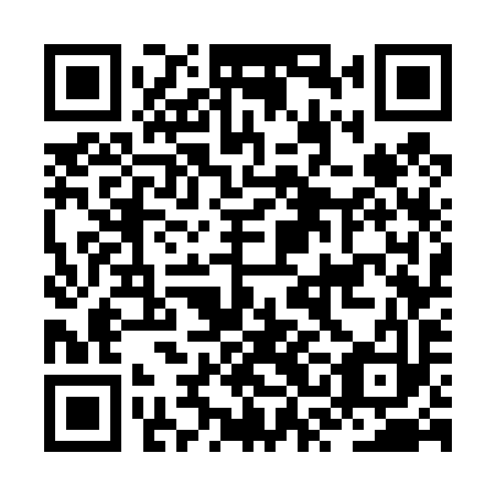 QR code for JSG 493