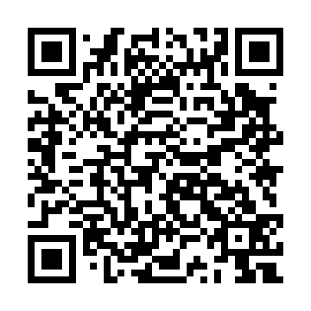 QR code for plate JSM 033