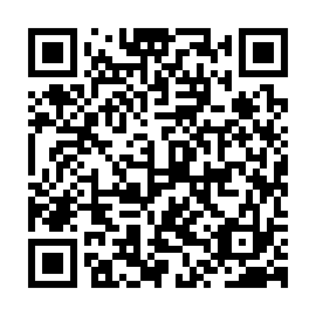 QR code for plate JTY 333