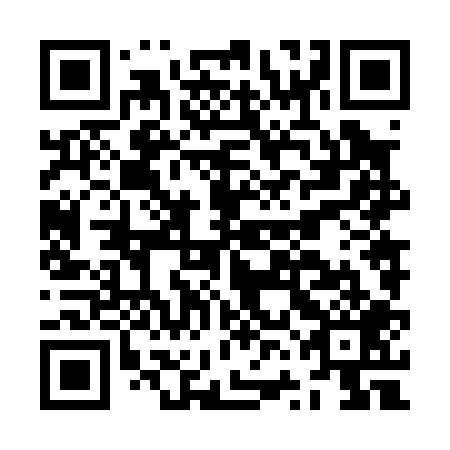 QR code for JVN 009