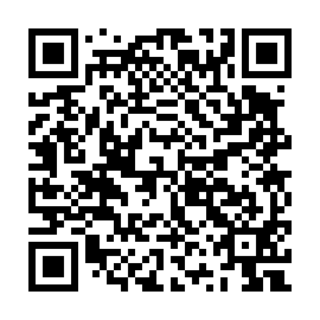 QR code for JVS491