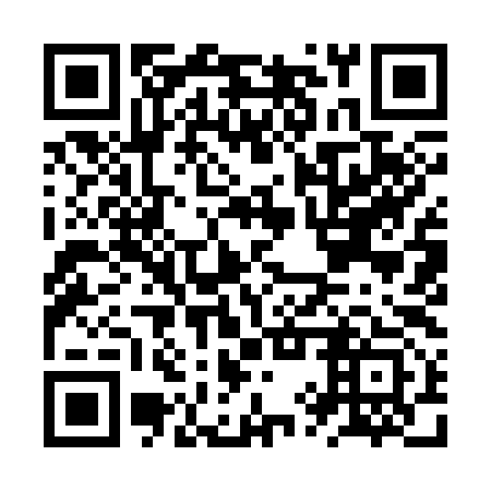 QR code for JYY 393