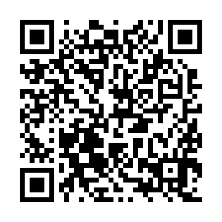 QR code for JZV 294