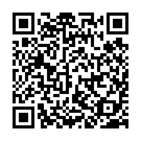 QR code for plate KDQ 699