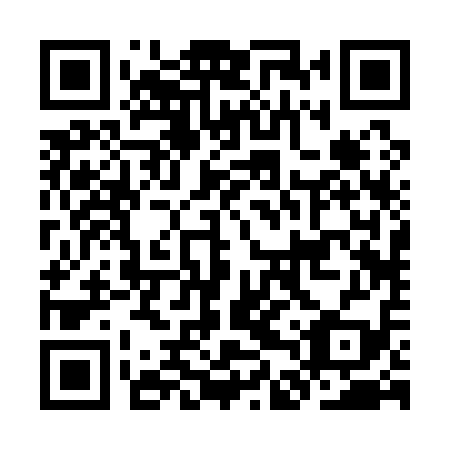 QR code for plate KDR 119