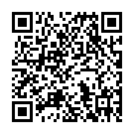 QR code for plate KFN 101