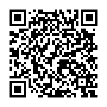 QR code for plate KFS 029