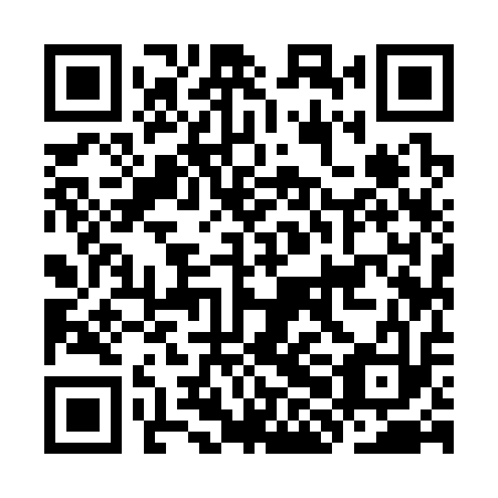 QR code for plate KHI 313