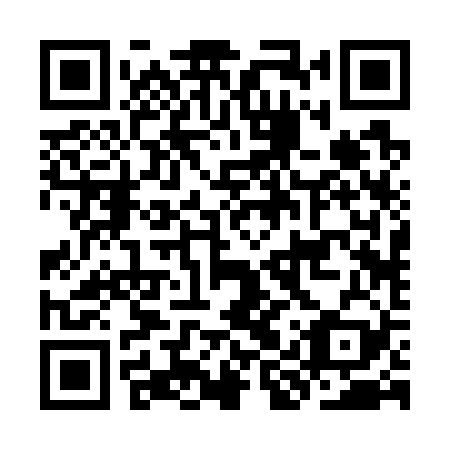 QR code for plate KIR 729