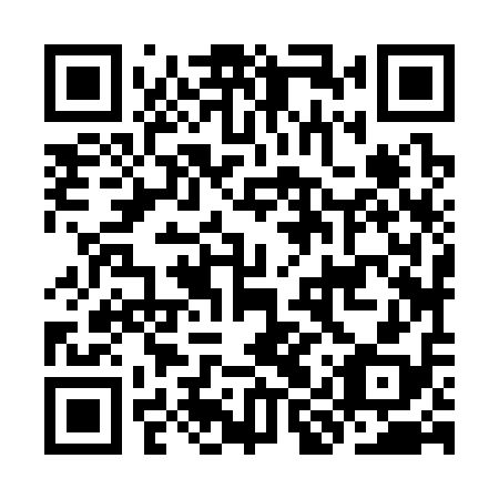QR code for plate KIZ 318