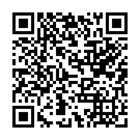 QR code for plate KKO 308