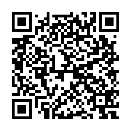 QR code for plate KNP 119
