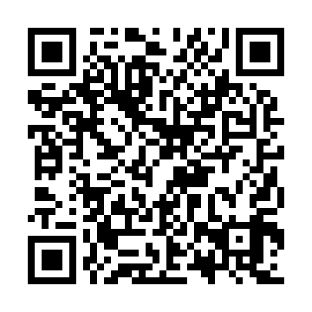 QR code for plate KPR 919