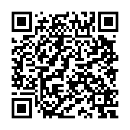 QR code for plate KQX 029