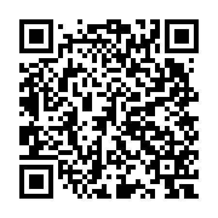 QR code for plate KRG 655