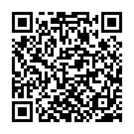 QR code for plate KST 113
