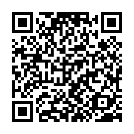 QR code for plate KYZ 029