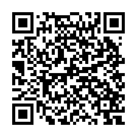 QR code for plate KZG 207