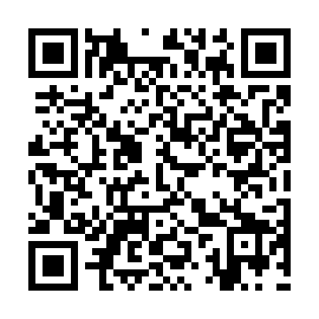QR code for KZT 729