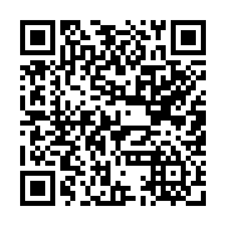QR code for LAE335
