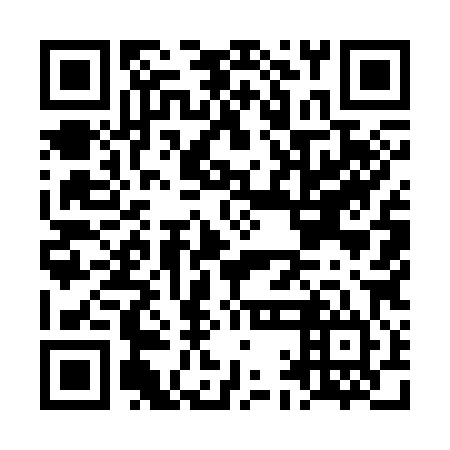QR code for LAM 384