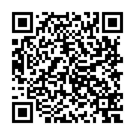 QR code for LAM 919