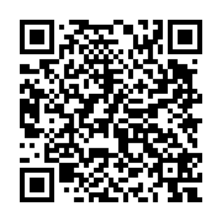 QR code for plate LAM 428