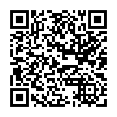 QR code for LAN 991