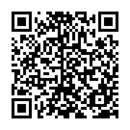 QR code for LAS 306