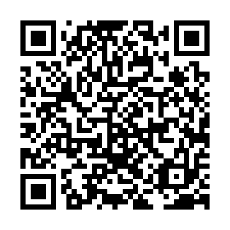 QR code for LAT 313