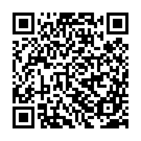 QR code for plate LBI 447