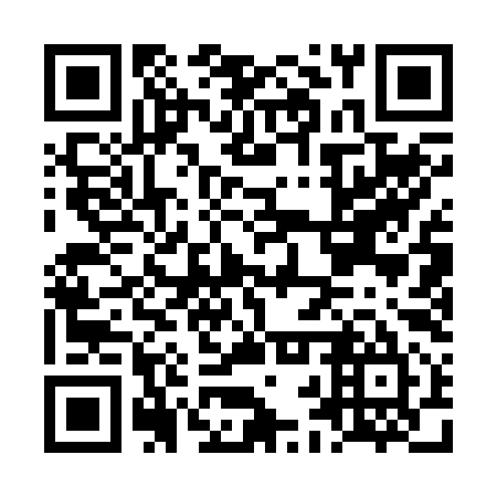 QR code for LBQ 295
