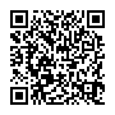 QR code for plate LBX 381