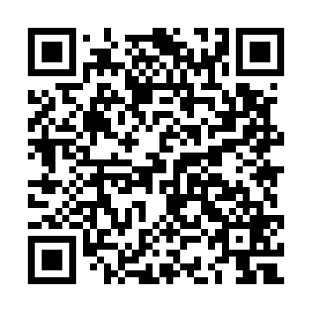 QR code for plate LCM 569