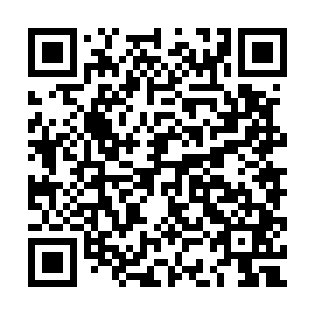 QR code for plate LCN 541