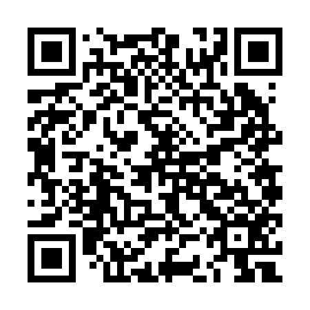QR code for LCV 256