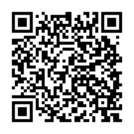 QR code for LDD 382